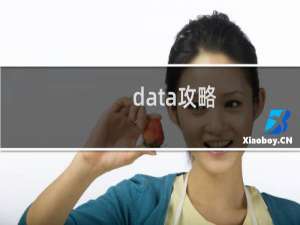 data攻略