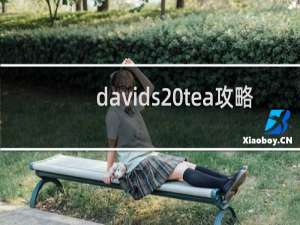 davids tea攻略