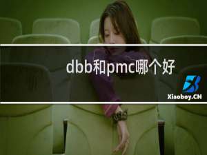 dbb和pmc哪个好
