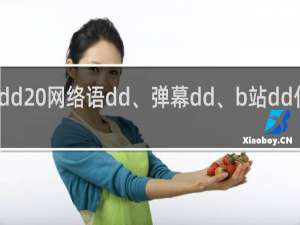 dd 网络语dd、弹幕dd、b站dd什么梗