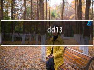 dd13