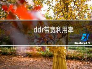 ddr带宽利用率