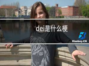 dei是什么梗