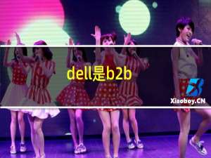 dell是b2b