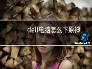 dell电脑怎么下原神
