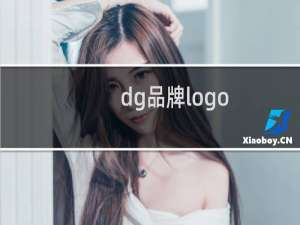 dg品牌logo