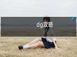 dg攻略