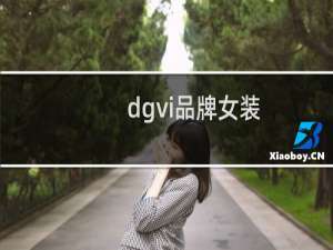 dgvi品牌女装