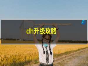 dh升级攻略