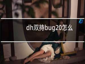 dh双持bug 怎么弄