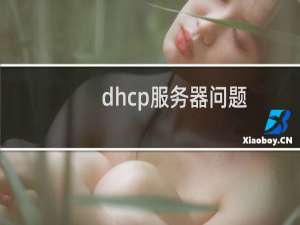 dhcp服务器问题