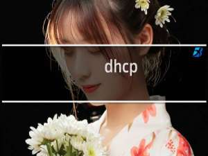 dhcp