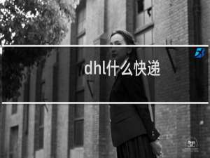 dhl什么快递