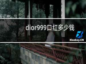 dior999口红多少钱