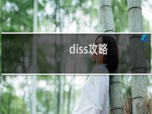 diss攻略