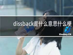 dissback是什么意思什么梗