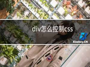 div怎么控制css