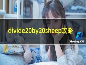 divide by sheep攻略