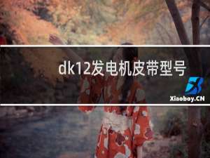 dk12发电机皮带型号