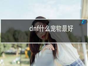 dnf什么宠物最好
