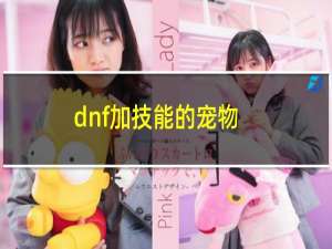 dnf加技能的宠物