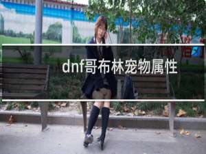 dnf哥布林宠物属性