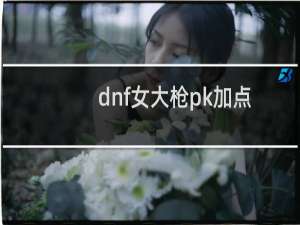 dnf女大枪pk加点（希望能帮助到迷茫的筒子们）