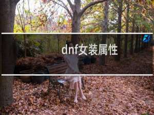 dnf女装属性