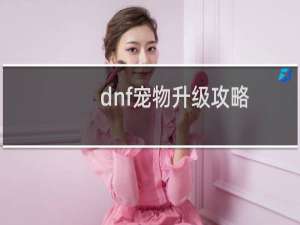 dnf宠物升级攻略