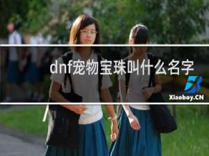 dnf宠物宝珠叫什么名字