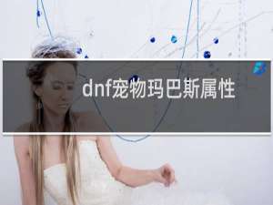 dnf宠物玛巴斯属性