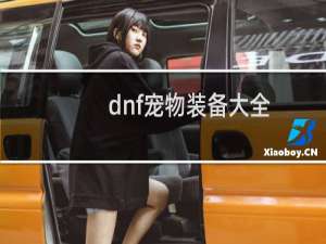 dnf宠物装备大全