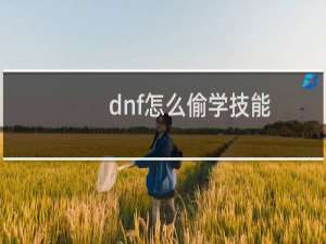 dnf怎么偷学技能