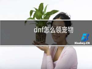 dnf怎么领宠物