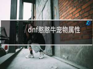 dnf憨憨牛宠物属性