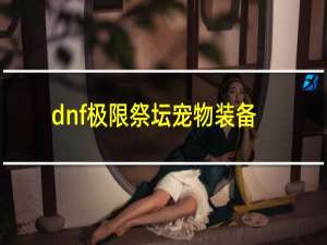 dnf极限祭坛宠物装备