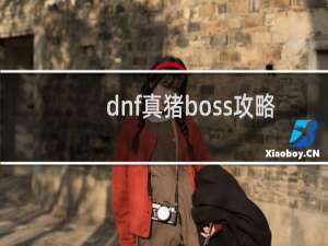 dnf真猪boss攻略