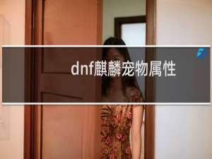 dnf麒麟宠物属性
