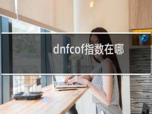 dnfcof指数在哪看（dnfcof）