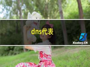 dns代表