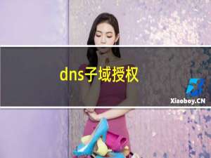 dns子域授权