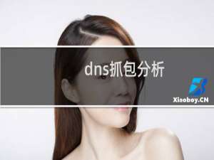 dns抓包分析