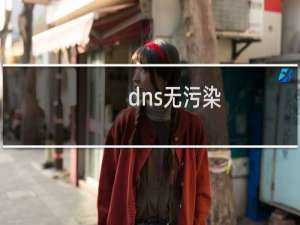 dns无污染