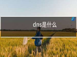 dns是什么？怎样设置DNS
