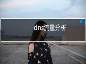 dns流量分析