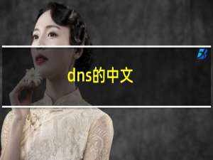 dns的中文