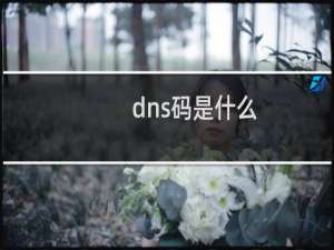 dns码是什么
