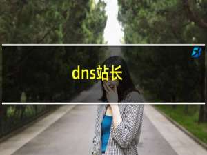 dns站长