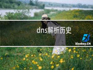 dns解析历史