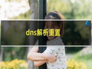 dns解析重置